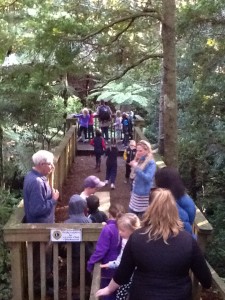 Warkworth Museum 056