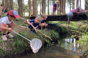 Nature Classroom